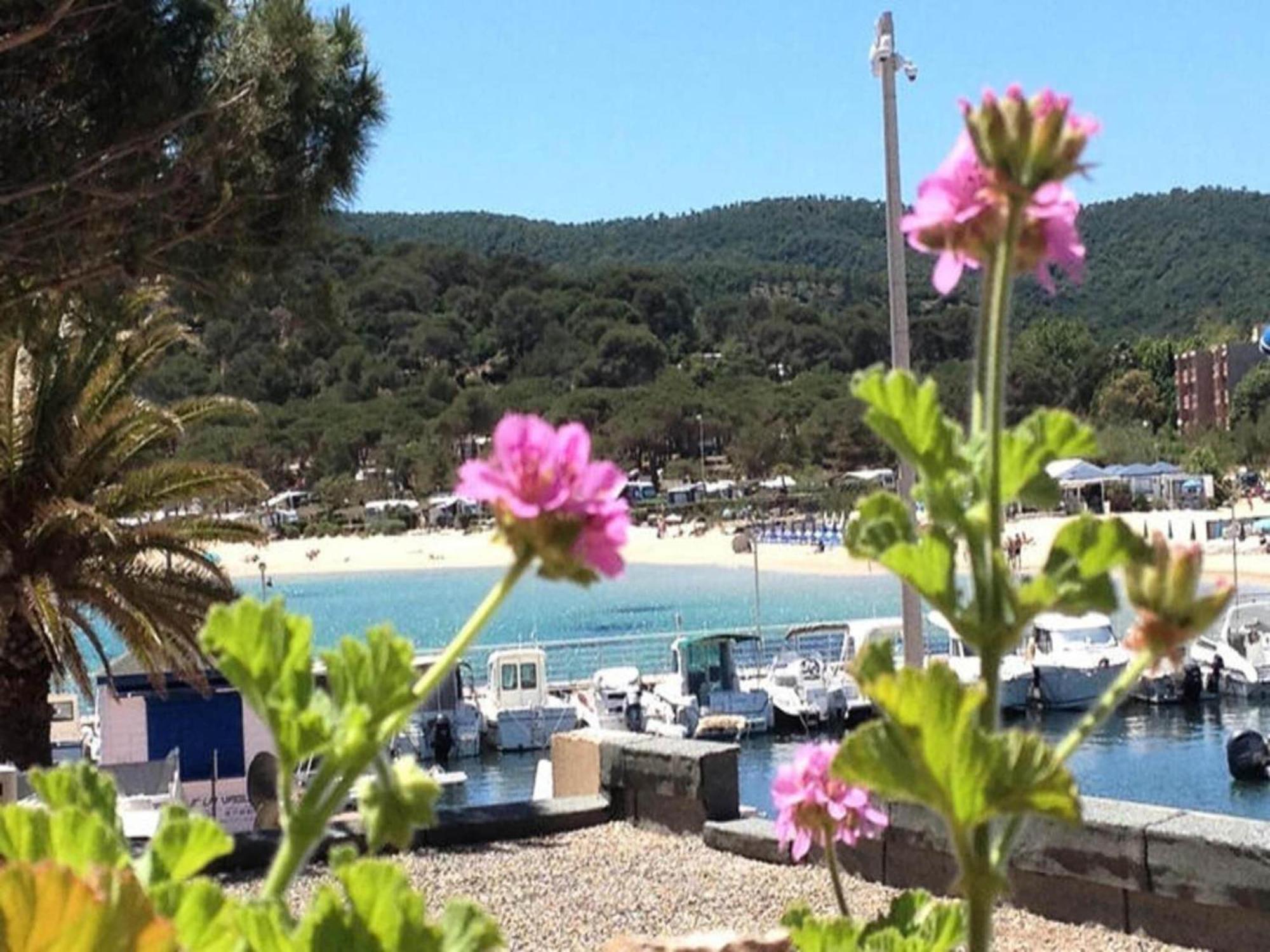 Apartment House Katharina, Βέστερλαντ Εξωτερικό φωτογραφία